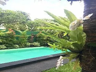 Guest house Secret Garden Sky Hotel Ubud