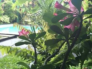 Secret Garden Sky Hotel Ubud  0*, Ubud (Bali)